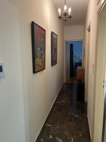Spacious And Sunny Appartment In Cholargos 雅典 外观 照片