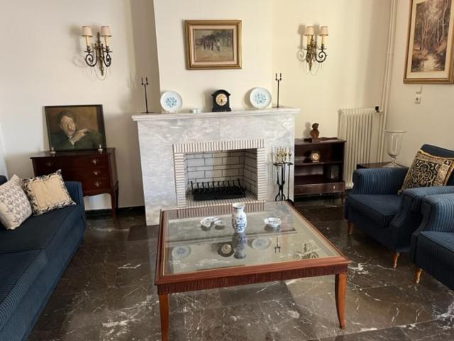 Spacious And Sunny Appartment In Cholargos 雅典 外观 照片