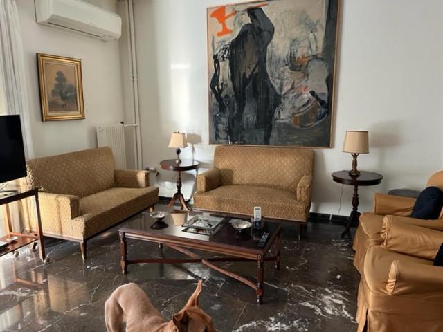 Spacious And Sunny Appartment In Cholargos 雅典 外观 照片